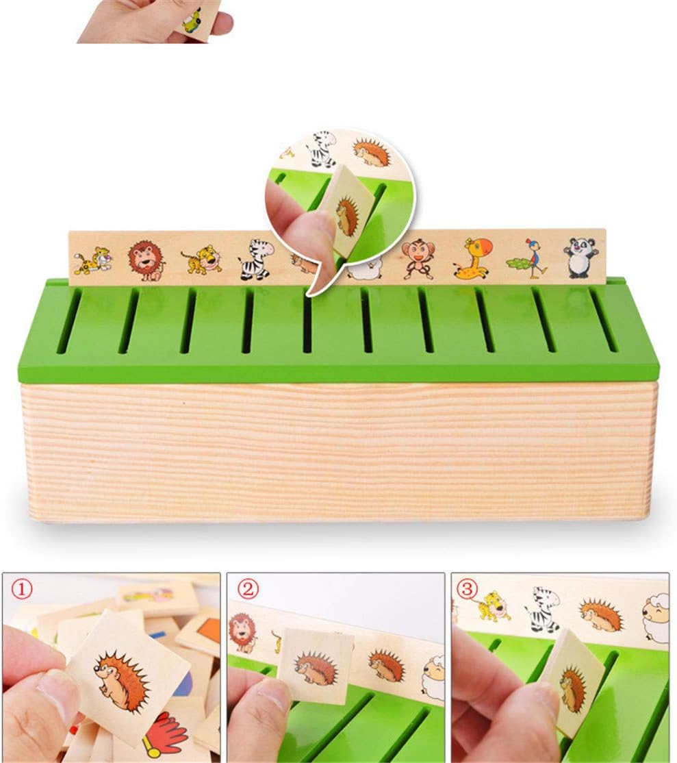 Classification Box - 80 Category Cards