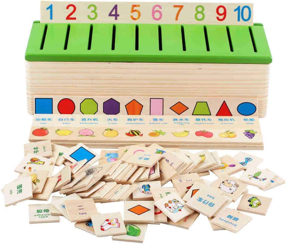 Knowledge Classification Box - Wooden Sorting Card Game - Tiny Tinker Toys