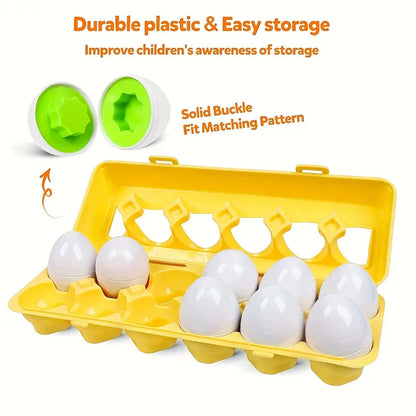 Matching Eggs - Carton View